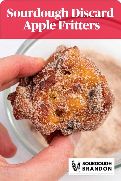 Hand holding a sourdough apple fritter with a cinnamon sugar topping Sourdough Apple Fritters, Sourdough Discard Apple, Use Sourdough Discard, Dough Starter Recipe, Sourdough Apple, Baked Apple Fritters, Fried Bread Recipe, Recipe Using Sourdough Starter, Fried Apple Pies