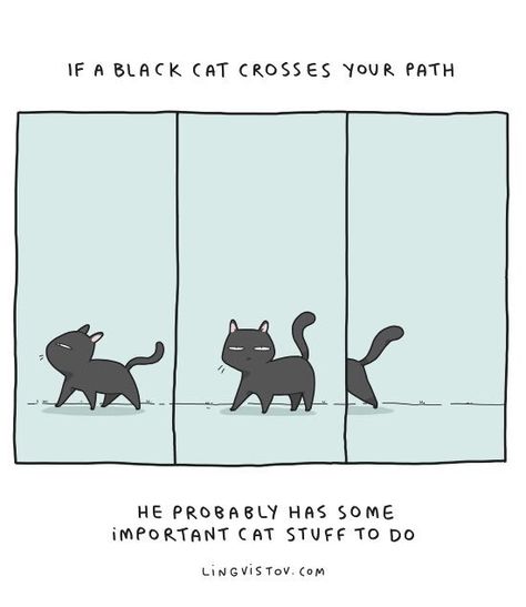 Path Illustration, Kat Diy, Cat Comics, Owning A Cat, Cat Stuff, Crazy Cat Lady, Cartoon Cat, Beautiful Cats, Cat Life