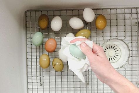 How To Clean Farm Fresh Eggs: Essential Tips for Homesteaders Cleaning Fresh Eggs, Floating Eggs, Cleaning With Peroxide, Eggs For Sale, Egg Storage, Farm Fresh Eggs, Natural Cleaners, Egg Basket, Backyard Chickens