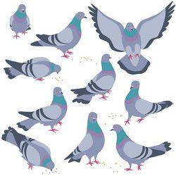 Dove Drawing, 카드 디자인, Flat Illustration, My New Room, Bird Art, 그림 그리기, Pigeon, Drawing Sketches, Art Sketches