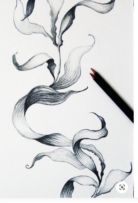 Seaweed Drawing, Underwater Tattoo, Vine Drawing, Sea Tattoo, Ocean Tattoos, Theme Tattoo, Vine Tattoos, Plant Tattoo, Drawing Flowers