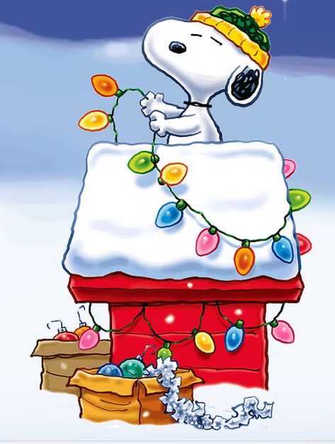 Christmas Clipart Free, Woodstock Snoopy, Snoopy Dog, Snoopy Funny, Snoopy Images, Days Till Christmas, Snoopy Wallpaper, Snoopy Pictures, Peanuts Christmas