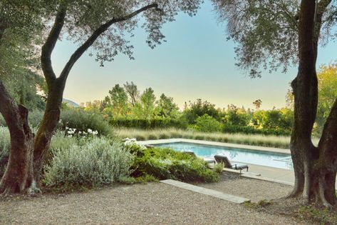 Healdsburg landscape architect frames and highlights the view Italian Style Home, California Modern, Architectural Features, Landscape Architect, Beautiful Tree, Hedges, Landscape Architecture, Water Features, Modern Classic