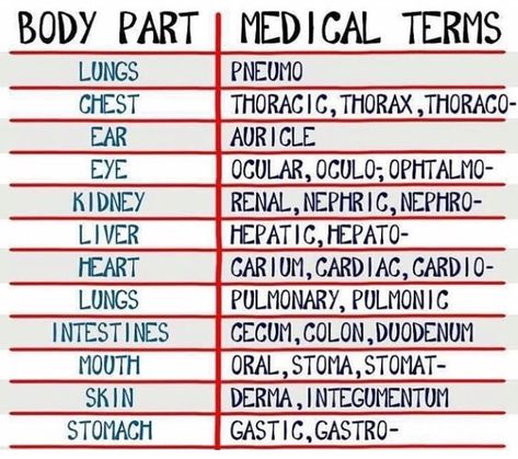 Medical Terminology Study, Medical Assistant Student, Tatabahasa Inggeris, Nursing 101, Studera Motivation, Nurse Study Notes, Nursing Student Tips, Medical Student Study, Nursing School Survival