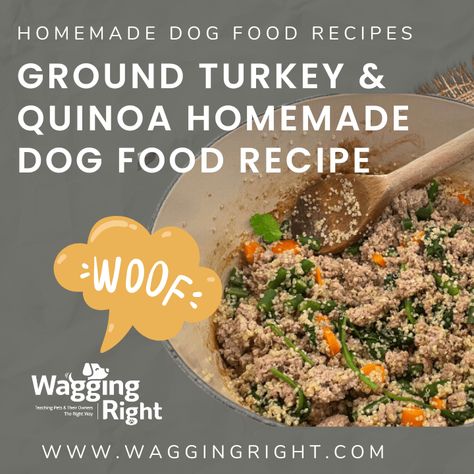 Turkey Dog Food Recipes, Diy Dog Food Recipe, Canine Nutrition, Dog Food Recipes Crockpot, Turkey Quinoa, Pet Recipes, Instant Pot Quinoa, Food Turkey, Dog Food Recipe