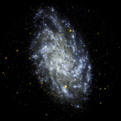 Triangulum Galaxy, Pinwheel Galaxy, Nasa Galaxy, Spitzer Space Telescope, Cosmos Art, Galaxy Photos, Amateur Astronomy, Nasa Jpl, Earth And Space Science