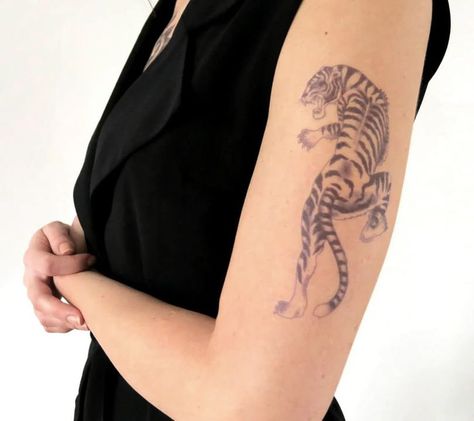 Tiger Climbing, Realistic Tiger Tattoo, Tiger Black And White, Moving On Tattoos, Black And White Tattoo, Tiger Black, Peacock Feather Tattoo, Realistic Temporary Tattoos, Ship Tattoo