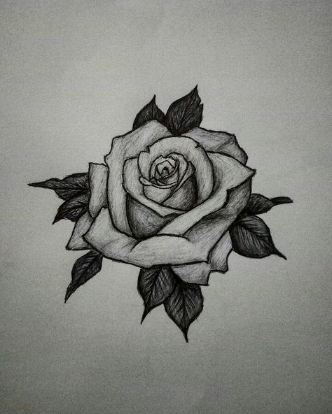 Flower Drawing Shaded, Rose Biro Drawing, Rose Drawing Shading, Rose Shading Drawing, Shaded Rose Drawing, Dark Flower Drawing, Pencil Rose Drawing, Rose Shading, Rose Drawing Pencil