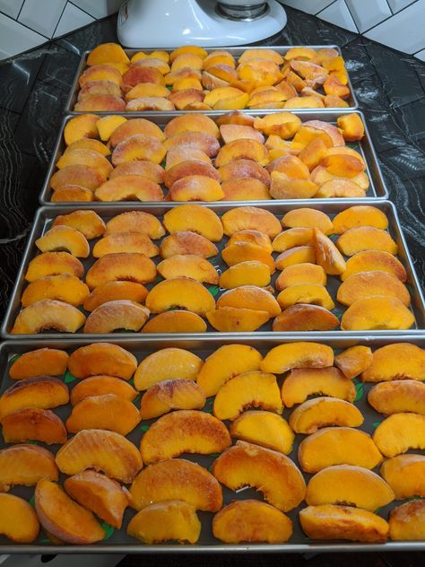 Freeze Dried Peaches, Freeze Drying Candy, Freeze Dried Food Storage, Dried Peaches, Homegrown Food, Long Term Food Storage, Dried Lemon, Freeze Dried Fruit, Dried Mangoes