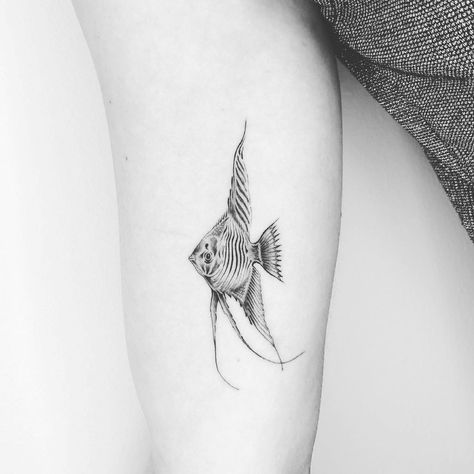 Tropical Fish Tattoo, Angel Fish Tattoo, Cute Fish Tattoo, It Is What It Is Tattoo, Angelfish Tattoo, Big Fish Tattoo, Black Fish Tattoo, Aquatic Tattoos, Fish Tattoo Black