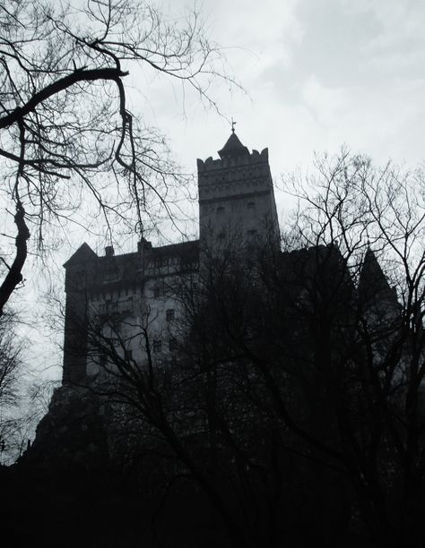 Dracula's castle - Romania Romania Vampire Aesthetic, Draculas Castle Aesthetic, Dracula Castle Aesthetic, Romania Aesthetic Dark, Romania Vampire, Dracula Moodboard, Draculas Castle Romania, Romanian Architecture, Victorian Gothic Aesthetic