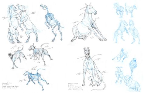 Complex Poses, Terryl Whitlatch, Creature Anatomy, Horse Anatomy, Dynamic Poses, Art And Illustration, Creature Design, Greyhound, Rosemary