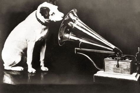 HMV His Masters Voice Logo His Masters Voice, Wonderful Picture, Historical Art, Dog Images, Art Masters, Painting Reproductions, Dog Face, Animal Logo, Historical Photos