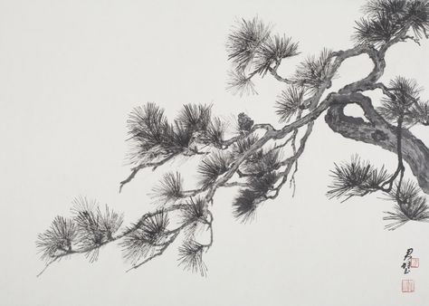 Fan Tchunpi, Pine Branches Pine Tattoo, Tree Branch Tattoo, Pine Tree Drawing, Branch Drawing, Pine Tree Painting, Pine Tree Art, Japanese Ink Painting, Pine Tree Tattoo, Japanese Tree