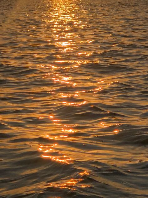 Sunset Waves Aesthetic, Sun On Water, Golden Aesthetic, Aesthetic Coconut, Gold Beach, Gold Water, 8k Wallpaper, Ocean Wallpaper, Cute Wallpaper For Phone