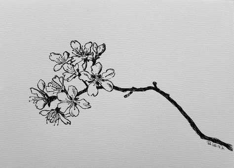 Tattoo Tree Branch, Almond Tree Tattoo, Almond Tree Branch Tattoo, Orange Blossom Branch Tattoo, Almond Branch Tattoo, Almond Tree Blossom Tattoo, Van Gogh Almond Blossom Tattoo, Tree Branch Tattoo, Branch Tattoo