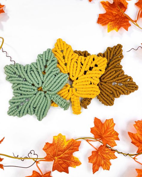 🎉 🍁LAST DAY to Join the 400K GIVEAWAY!🍁🎉 Thank you all for the incredible support! Today is the LAST day to get your FREE download of my Macrame Autumn Leaf tutorial 🍂✨ Here’s how to participate: 1️⃣ Follow me and like the giveaway post 2️⃣ Comment "🍁" 3️⃣ DM me to receive your free download code! Don’t miss out—this is your last chance! I’m so excited to see all of your beautiful macrame leaves. 💛 Happy knotting, and thank you for being part of this journey! #macrameleaf #macrameautum... Knot Guide, Macrame Leaves, Coaster Tutorial, Giveaway Post, Christmas Coasters, Autumn Leaf, Macrame Patterns, Keep In Mind, Knit Patterns