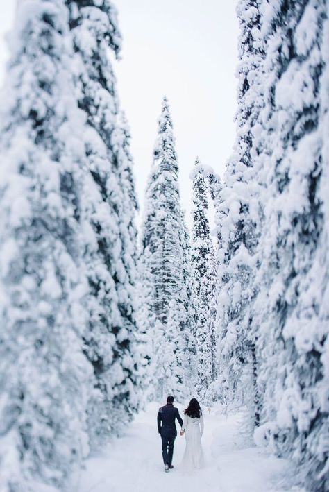 Small Winter Wedding, Emerald Lake Lodge, Outdoor Winter Wedding, Snowy Wedding, Winter Wedding Photos, Snow Wedding, Winter Elopement, Mountain Wedding Colorado, Winter Photoshoot