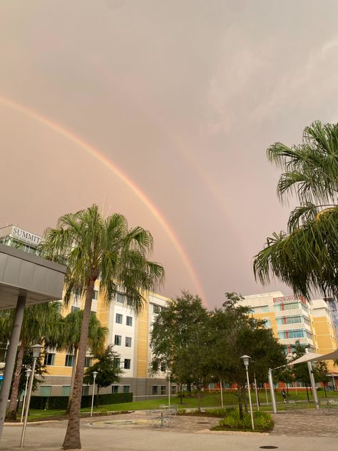 Usf Aesthetic, Usf Bulls, Summer Vision, College Vision Board, Florida Life, Campus Life, Vision Board Photos, College Aesthetic, University Of South Florida