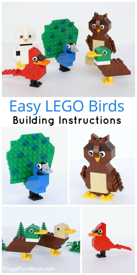 Simple LEGO Birds Building Instructions - Build ducks, a cardinal, owls, and a LEGO peacock Duplo Builds, Lego Directions, Lego Creatures, Lego Therapy, Lego Masters, Lego Designs, Nanny Life, Instructions Lego, Lego Theme