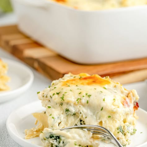 Chicken Lasagna {with Homemade White Sauce!} | Lil' Luna Easy Chicken Lasagna Recipe, Homemade White Sauce, Chicken Lasagne, Chicken Lasagna Recipe, White Chicken Lasagna, White Lasagna, Food Thoughts, Bday Dinner, Slow Cooker Lasagna