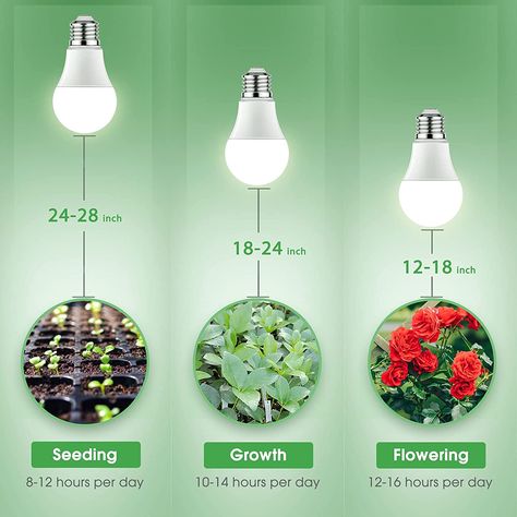 Grow Light LED Bulbs - Full Spectrum Light Bulb Plant, Growing Bulbs, Grow Light Bulbs, Plant Light, Bulbs Indoor, Grow Lights For Plants, Led Grow Light, Motion Sensor Lights, Plant Lighting