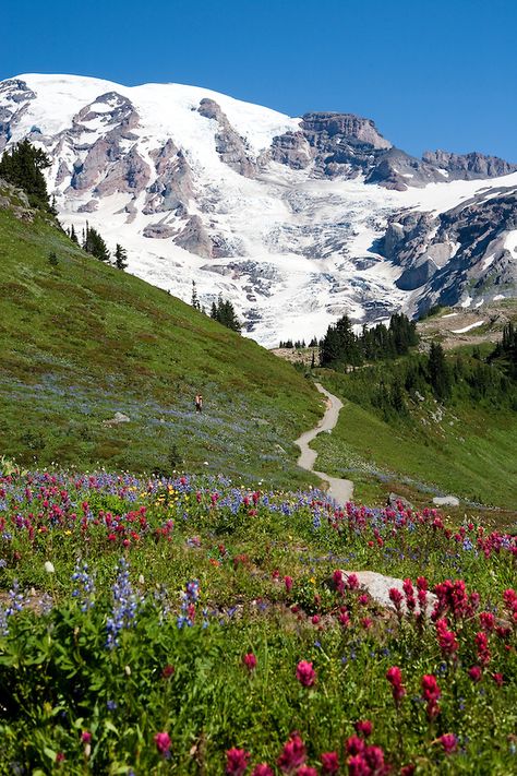 Mt Reiner, Hiking List, Mt Rainer, Mt Rainier National Park, Pacific Nw, Image Nature, Mount Rainier National Park, Mt Rainier, Rainier National Park