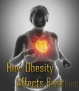 Can Being Overweight Cause Shortness Of Breath | For Big & Heavy People Hard Breathing, Breathing Problems, Weight Problems, Adipose Tissue, Heart Problems, Shortness Of Breath, Classic Songs, Breathing Techniques, Cholesterol Levels