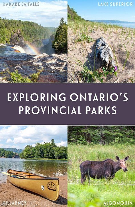 Ontario Provincial Parks, Ontario Road Trip, Ontario Parks, Alaska Trip, Canada Trip, Ontario Travel, Canada Eh, Southern Ontario, Canada Ontario