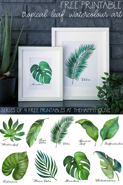 Tropical Leaf Free Printable Art {Series of 9} | The Happy Housie Leaf Printables, Drawing Room Decor, Free Wall Art, Summer Printables, Free Printable Wall Art, Tropical Home Decor, Free Printable Art, Watercolor Printable, Art Printables