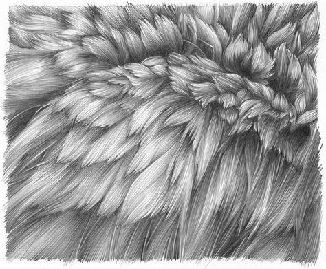 Beautiful illustration of wolf fur How To Draw Fur, Painting Fur, Foto Transfer, Drawing Hair, Fur Texture, Texture Drawing, Wolf Drawing, Animal Fur, Hair Texture