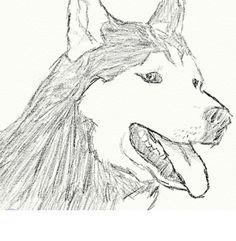 Siberian husky drawing pencil Husky Drawing Easy, Siberian Husky Drawing, Husky Sketch, Drawing Husky, Husky Drawing, Draw Dogs, Drawing Pencil, Drawing Easy, Sketches Easy