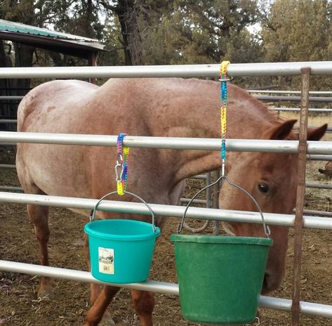 Horse Trailer Organization, Blanket Hanger, Paracord Uses, Horse Hacks, Animal Tips, Braided Paracord, Tack Rooms, Paracord Crafts, Diy Bucket