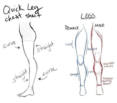 Anatomy Reference Legs Sketch, Body Porpotion Reference Drawing, Male Legs Reference, Body Female, Drawing Legs, Drawing Female, Drawing Female Body, Wolf Tattoo Design, Body Sketches