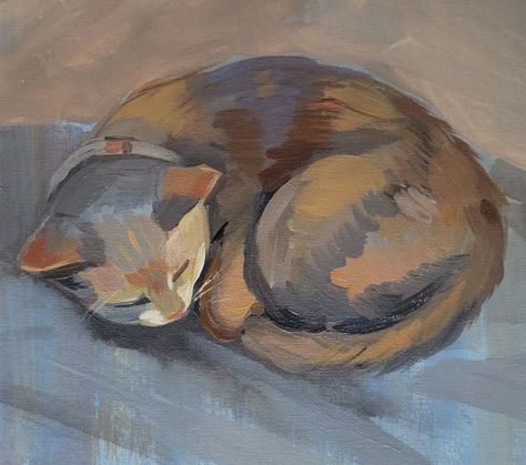 Anna Cherkashina on Instagram: "Day 19 #stradaeasel Quick sketch of my cat Busya. It is the best part of staying inside in winter - paint curled up sleeping cat! #strada #stradachallenge #stradachallenge2023 #catsketch #catpainting #cat #curledcat #sleepingcat" Sleeping Drawing, Calming Cat, Scary Cat, Cat Doodle, Cat Sketch, Animal Sketches, Quick Sketch, Cat Painting, Cat Drawing