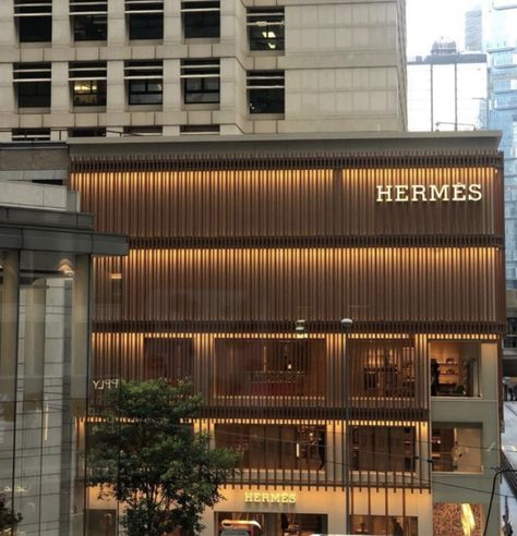 Golden Brunette, Hermes Store, Autumn In New York, Interior Minimalista, Super Rich Kids, Super Rich, Luxury Aesthetic, Espresso Martini, Jairzinho