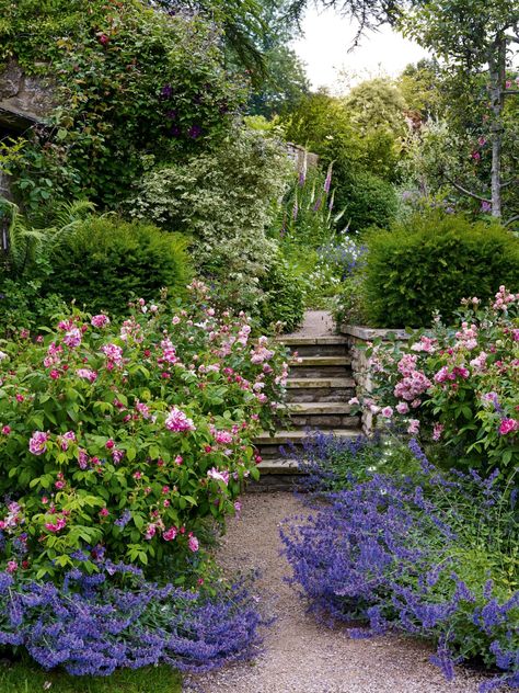 Tattoo Plant, Estate Garden, Cottage Garden Design, Garden Steps, Easy Landscaping, Magic Garden, English Cottage Garden, English Country Gardens, Mediterranean Garden