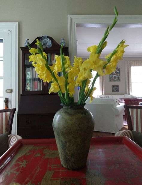 Gladioli Gladioli, Vase, Plants, Flowers, Home Decor, Home Décor