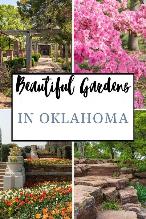 Oklahoma has some incredible gardens, offering an opportunity to relax and appreciate the beauty of nature. A perfect outing awaits you with opportunities to explore tranquil ponds, vibrant flowers, and secret pathways. Oklahoma Flower Beds Landscape Design, Oklahoma Landscape Ideas, Oklahoma Flowers, Oklahoma Landscaping, Incredible Gardens, Oklahoma Garden, Oklahoma Gardening, Full Sun Landscaping, Vegetable Planting Guide