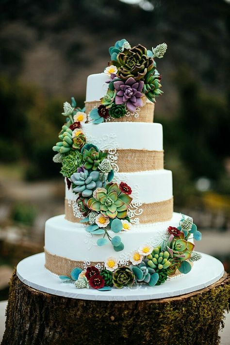 Succulent cake Succulent Wedding Cakes, Succulent Cake, Succulent Decor, Cactus Cake, Cactus Wedding, Lace Wedding Cake, Floral Wedding Cakes, Boda Mexicana, Wedding Cake Rustic