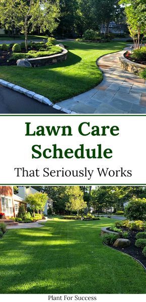 Lawn Maintenance Schedule, Organic Lawn Fertilizer, Lawn Renovation, Lawn Weeds, Lawn Care Schedule, Lawn Repair, Spring Lawn Care, Lawn Care Business, Diy Lawn