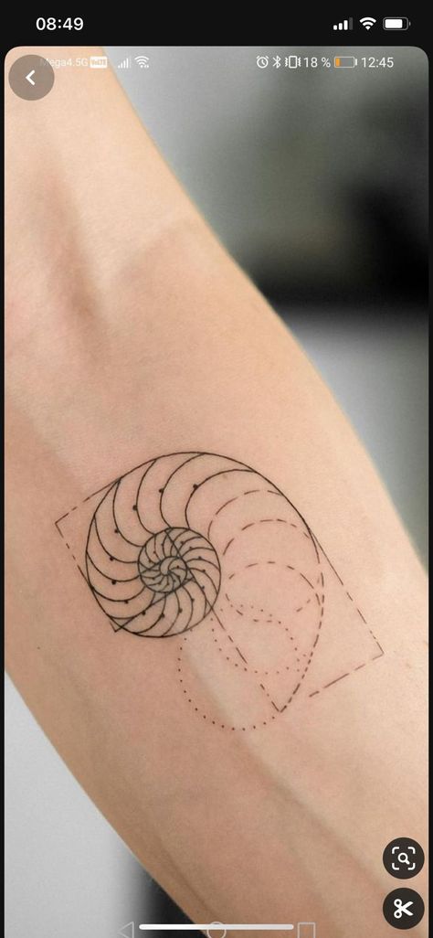 Nature Spiral Tattoo, Fibonacci Spiral Tattoo Golden Ratio, Nautilus Tattoo Design, Fibinocci Tattoo, Fibbonaci Tattoo Design, Fibinocci Spiral Tattoo, Fibinocci Tattoos, Fibanocci Sequence Tattoos, Fibbonaci Spiral Tattoo