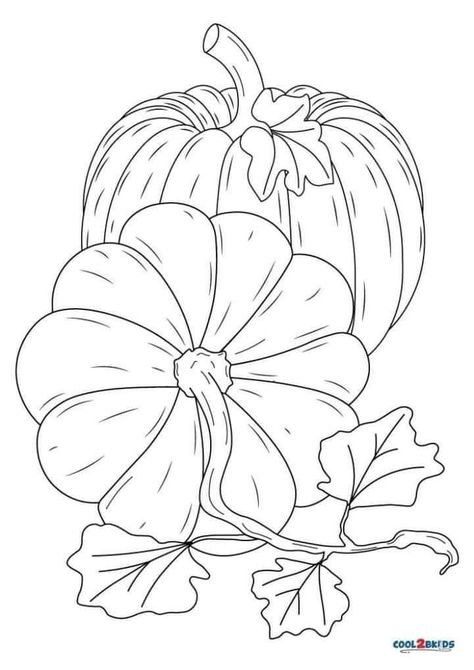 Tracing Patterns Free Printable, Pictures To Trace And Paint, Free Fall Printable Coloring Pages, Halowen Drawing, Painting Outlines Free Printable, Pumpkin Line Drawing, Pumpkin Free Printables, Pumpkins Drawings, Printable Drawings To Paint