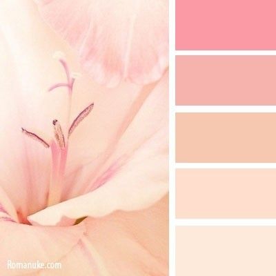 In Color Balance, Peach Color Palettes, Color Schemes Colour Palettes, Color Palette Pink, Pastel Colour Palette, Color Palate, Design Seeds, Color Palette Design, Color Balance