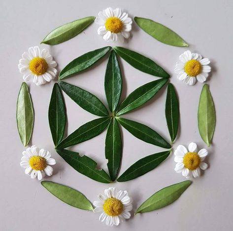 Rangoli With Leaves, Natural Rangoli, Simple Flower Rangoli, Flower Petal Art, Rangoli Designs Simple Diwali, Easy Rangoli Designs Diwali, Flower Arrangement Designs, Rangoli Ideas, Flower Decorations Diy