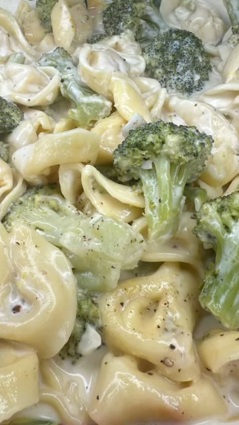 Melissa Kauper (@melissajorealrecipes) on Threads Easy Dinner Recipes Videos, Lemon Alfredo Sauce, Real Italian Recipes, Alfredo Pasta Recipes, Pasta With Lemon Sauce, Vegetable Pasta Recipes, Alfredo Recipes, Lemon Pasta Recipes, Cream Sauce Pasta