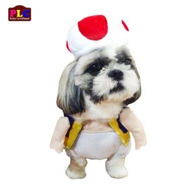 Toad Dog Costume    AVAILABLE IN WHOLESALE petloverscloset@yahoo.com  Manufacturer | Distributor | Retailer | Wholesaler | Exporter  www.facebook.com/petloverscloset Mario Toad Dog Costume, Dog Toad Costume, Super Mario Dog Costume, Mario Dog Costume, Toad Mario Costume, Mario Kart Costumes, Super Mario Toad, Mario Toad, Super Mario Costumes