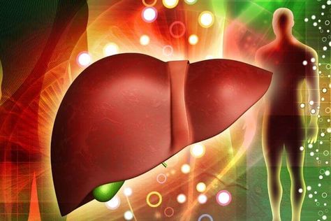 How a Liver Supplement Can Help Reduce Bloating and Brain Fog | Smarter Reviews Liver Cleanse Drink, Liver Supplements, Healthy Detox Cleanse, Cleansing Drinks, Human Liver, Detox Your Liver, Liver Detoxification, Liver Support, Liver Detox