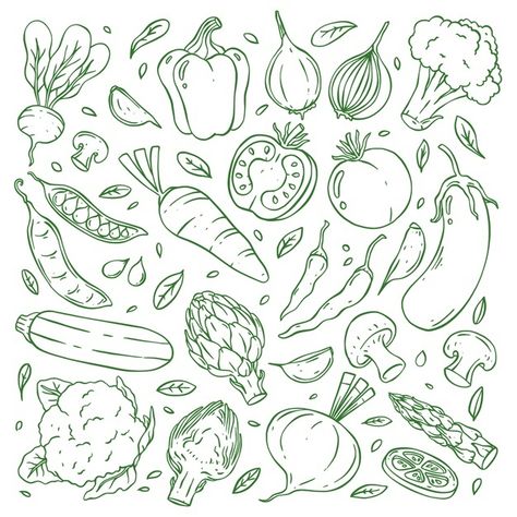 Hand drawn doodle vegetable collection | Premium Vector #Freepik #vector #background #food #menu #hand Vegetable Drawing, Vegetable Cartoon, Vegetable Illustration, Recipe Cards Template, Hand Drawn Vector, Card Illustration, Flat Illustration, Food Illustrations, Doodle Drawings