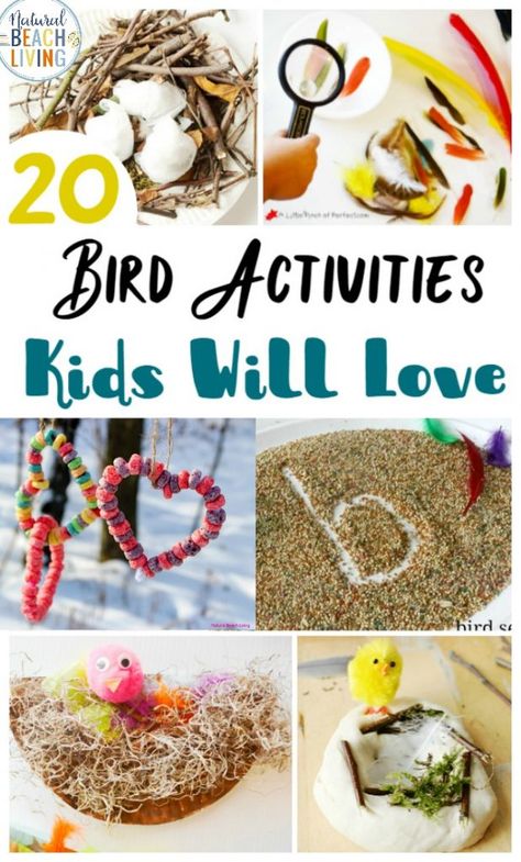 Here You'll find The Best Bird Activities for Preschoolers, All the best ideas for a Preschool Bird Theme with Lesson Plans, Hands on activities, Homemade Bird Feeders and Bird Science Activities for Preschoolers, Bird Crafts and Bird Activities for kids Preschool Bird Theme, Bird Activities, Bird Crafts Preschool, Bird Nest Craft, Bird Feeder Craft, Bird Seed Ornaments, Preschool Science Activities, Homemade Bird Feeders, Activities For Preschoolers